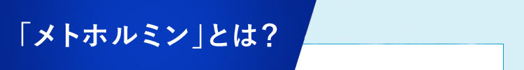 「メトホルミン」とは？