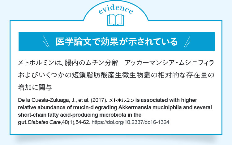 evidence 医学論文で効果が示されている メトホルミンは、腸内のムチン分解アッカーマンシア・ムシニフィラおよびいくつかの短鎖脂肪酸産生微生物叢の相対的な存在量の増加に関与 DelaCuestaーZuluaga,J.,etal.（2017）.メトホルミンisassociatedwithhigherrelativeabundanceo mucinーdegradingAkkermansiamuciniphilaandseveralshortーchainfattyacidーproducingmicrobiotainthegut.Diabetes（are,40（1）,54ー62.https://doi.org/10.2337/dc16ー1324
