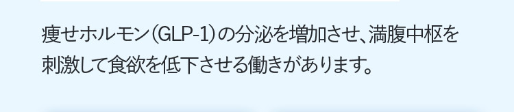 痩せホルモン（GLPー1）の分泌を増加させ、満腹中枢を刺激して食欲を低下させる働きがあります。